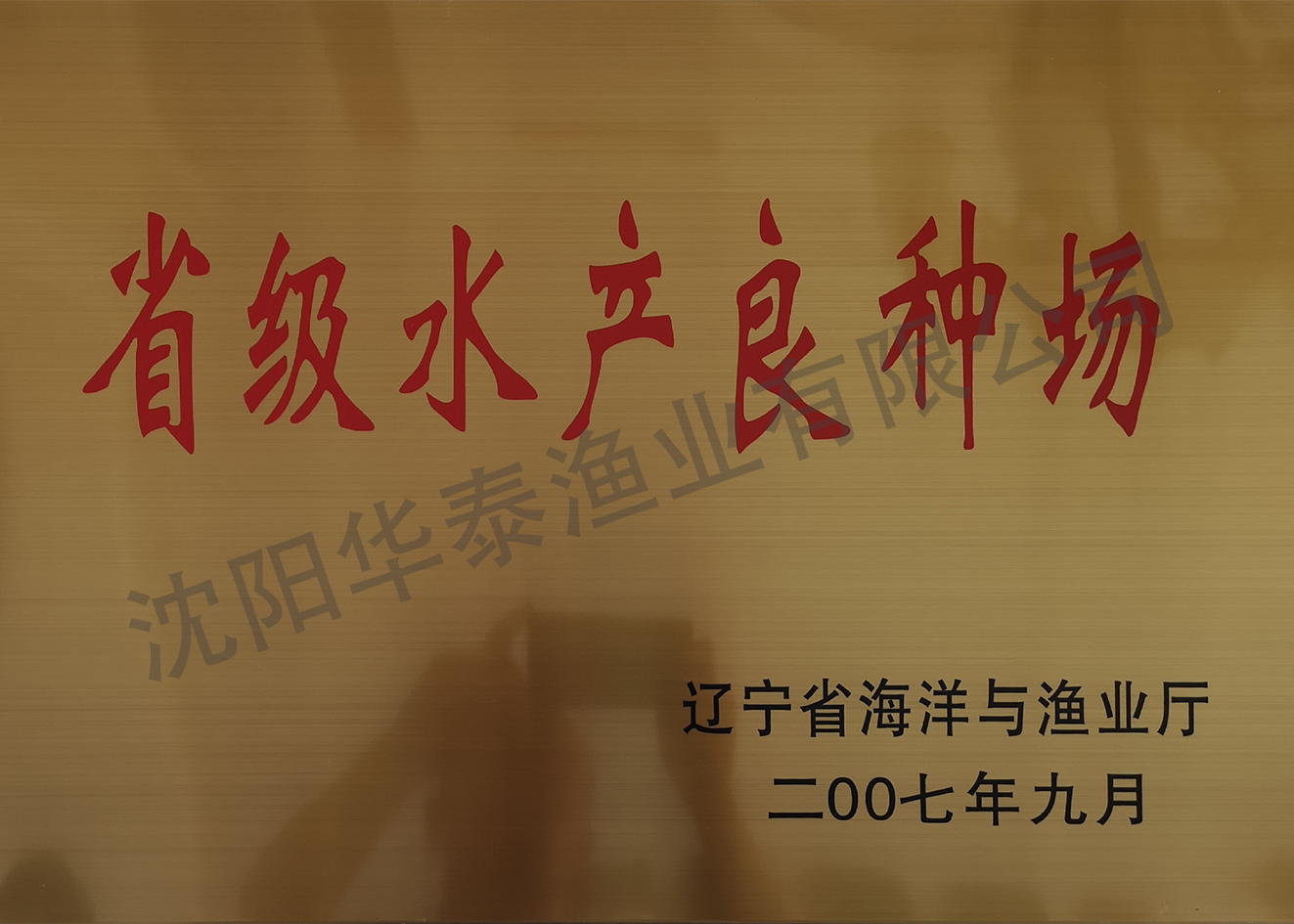 &#24320;&#20113;&#32593;&#39029;&#29256;