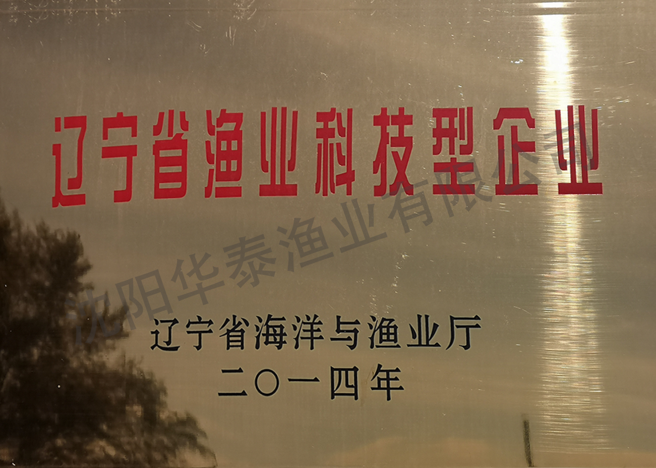 &#24320;&#20113;&#32593;&#39029;&#29256;
